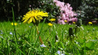 10 Easy Ways to make a Relaxation Retreat in your own Backyard