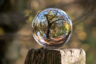 Go Green: Simple Habits to Protect the Planet