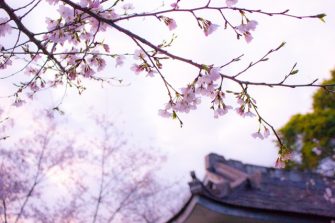 Tips For Visiting Japan For The First Time