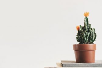 Be More With Less: Using Creativity To Be A Minimalist