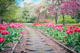 Getting Your Garden Ready for Summer 2018