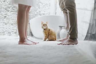 Five Ways for Coping When Your Partner is Unfaithful