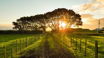 4 Countryside Destinations for Stressed New Yorkers