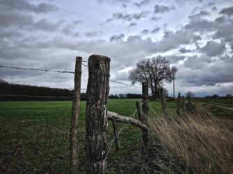 Why Do a Fence with Chicken Wire