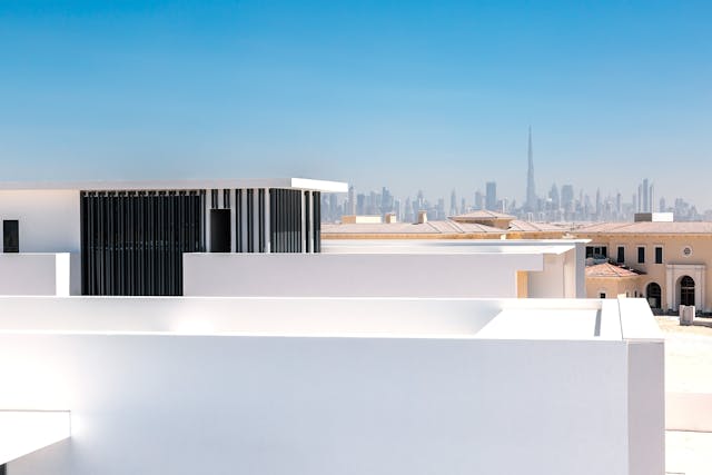 Liquid Flat Roofing